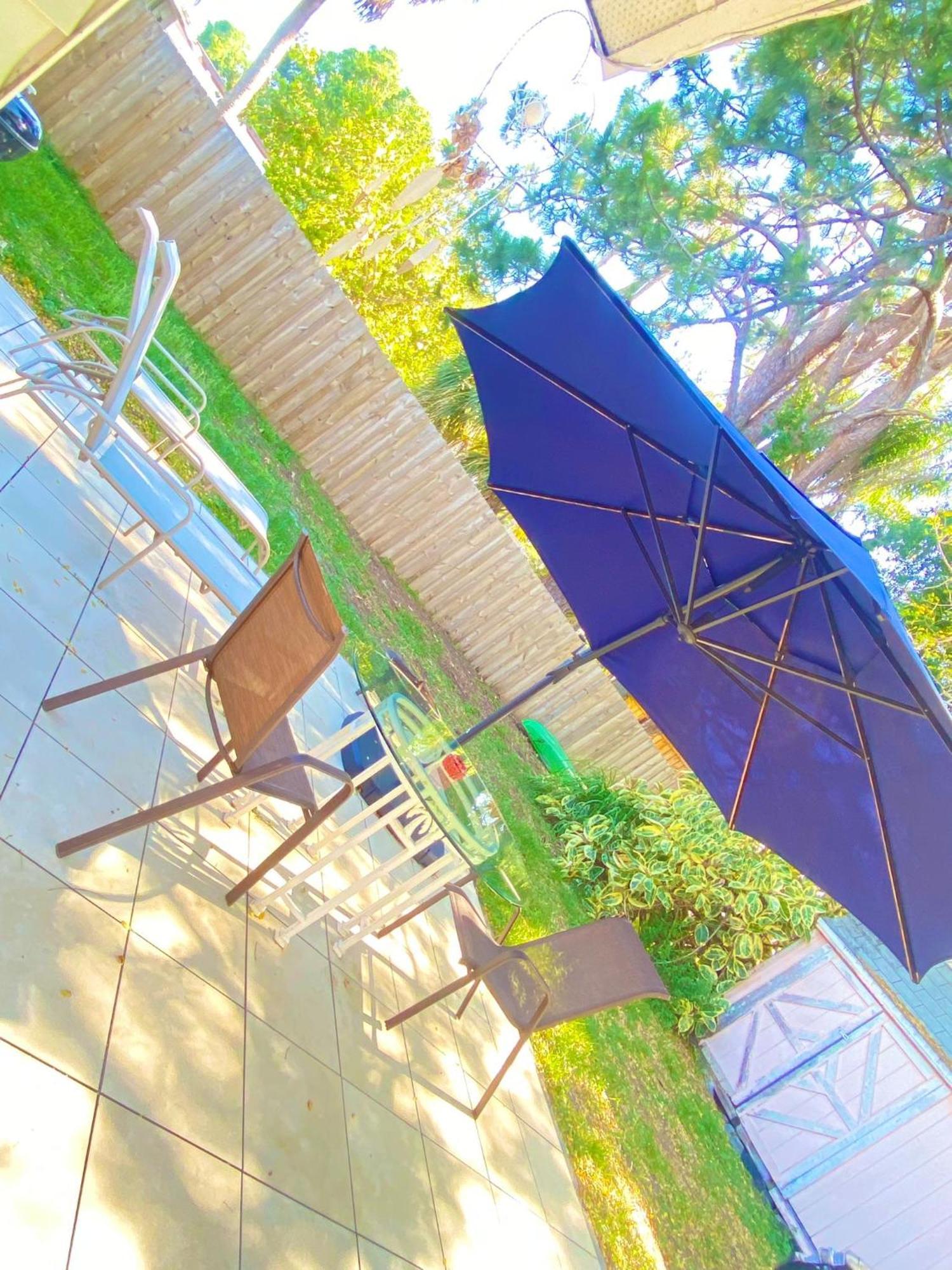 Cozy Studio Only 10 Minutes By Car Of Siesta Key Sarasota megye Kültér fotó